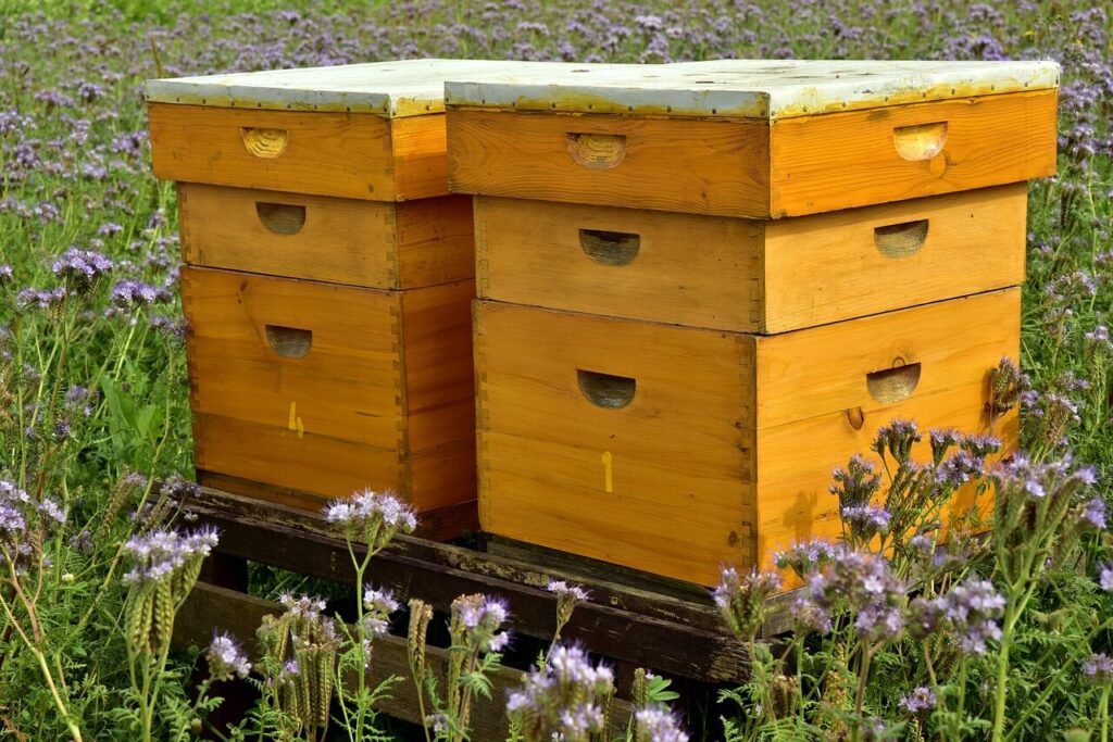 Benefits of Beekeeping