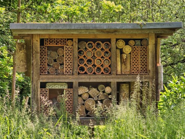 Benefits of Beekeeping