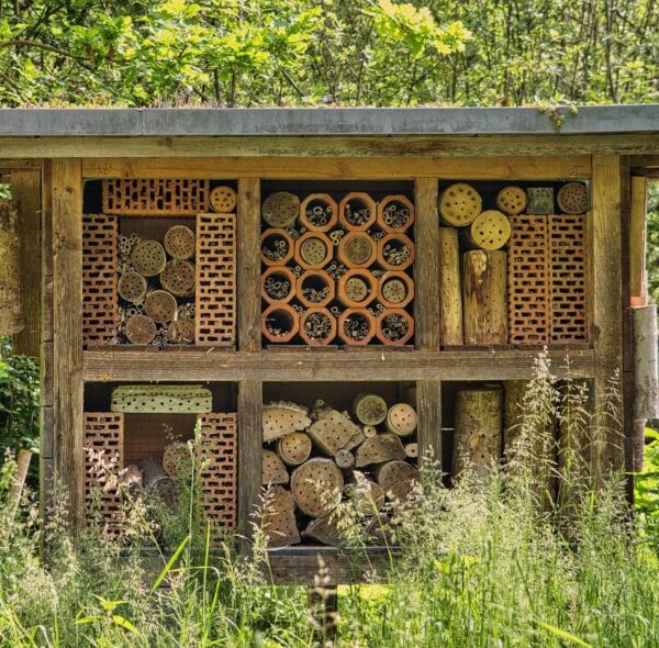 Benefits of Beekeeping