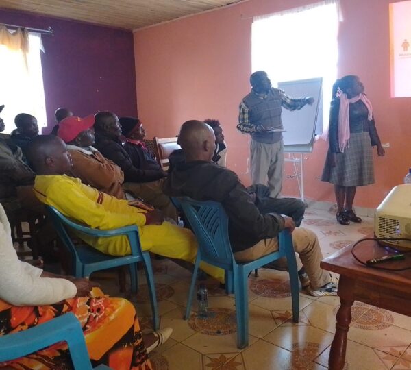 Beekeeping Workshop
