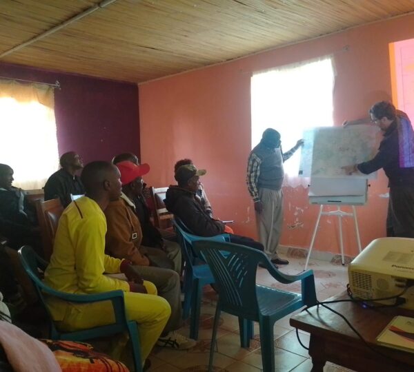 Beekeeping Workshop