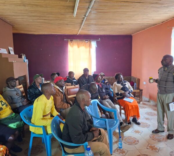 Beekeeping Workshop