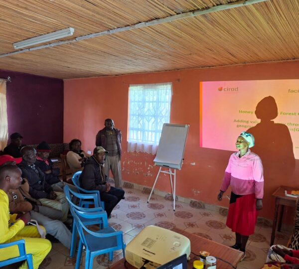 Beekeeping Workshop